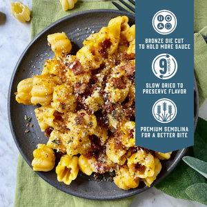 Prepared Sfoglini Zucca pasta with pumpkin sauce and breadcrumbs on a dish. With product feature icons and text - Bronze die cut to hold more sauce. Slow dried to preserve flavor. Premium semolina for a better bite.
