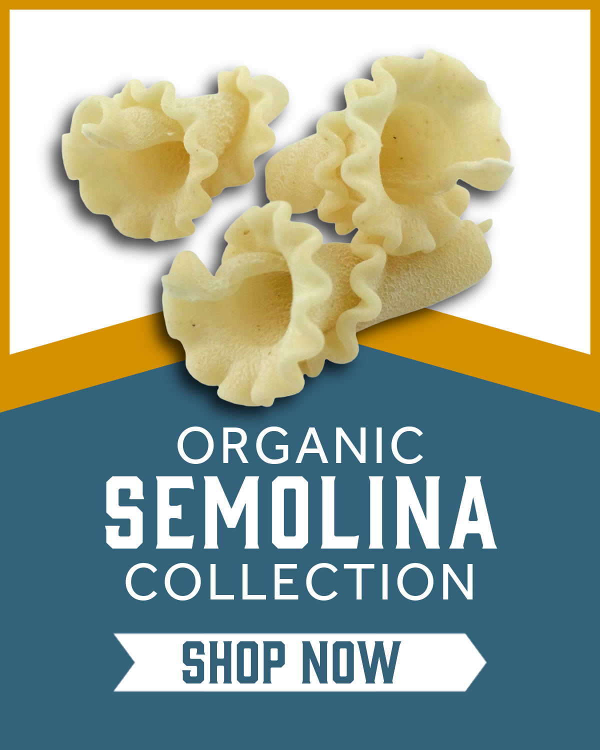 Browse and shop the Sfoglini Organic Semolina Pasta Collection