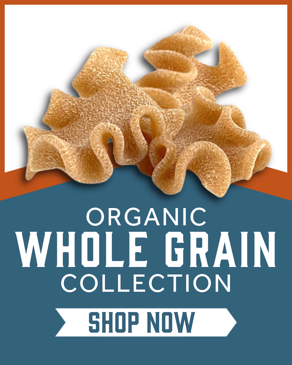 Browse and shop the Sfoglini Organic Whole Grain Pasta Collection